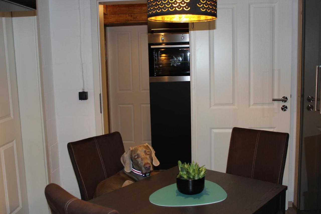 Kleine Souterrain Wohnung Naehe Hamburg 新武尔姆斯托夫 外观 照片